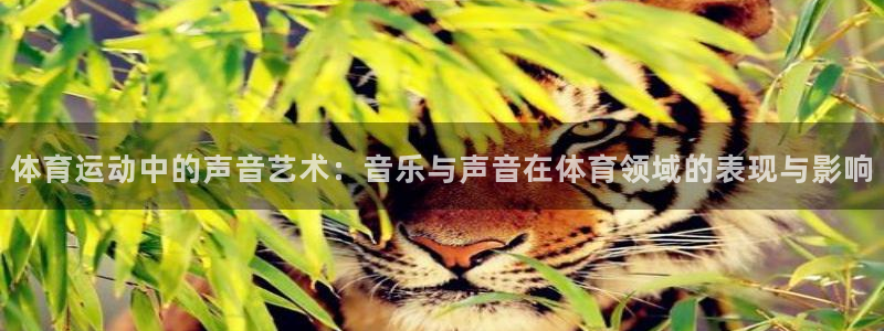 拳皇98体育队：体育运动中的声音艺术：音乐与声音在体育领域的表现与影响