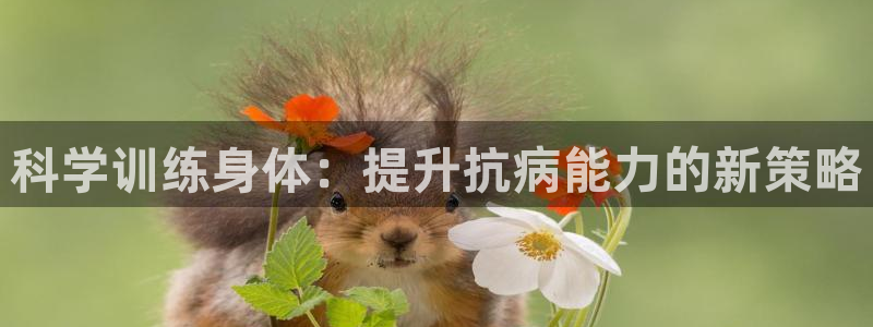 98体育网：科学训练身体：提升抗病能力的新策略