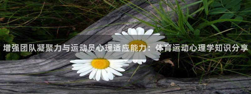 98体育app官网下载：增强团队凝聚力与运动员心理适应能力：体育运动心理学知识分享