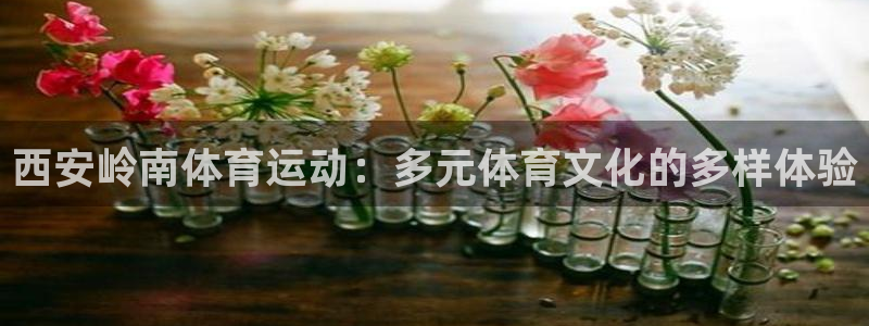 98体育免费直播：西安岭南体育运动：多元体育文化的多样体验