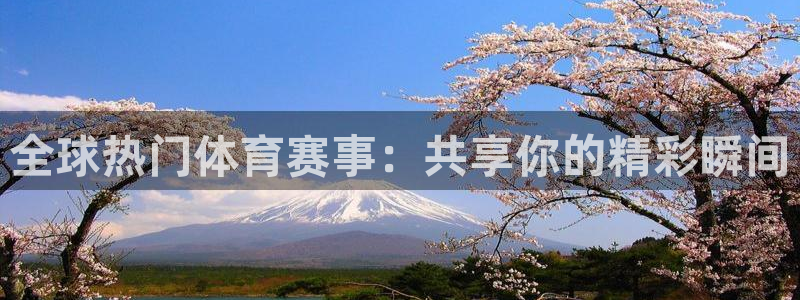 98体育网：全球热门体育赛事：共享你的精彩瞬间